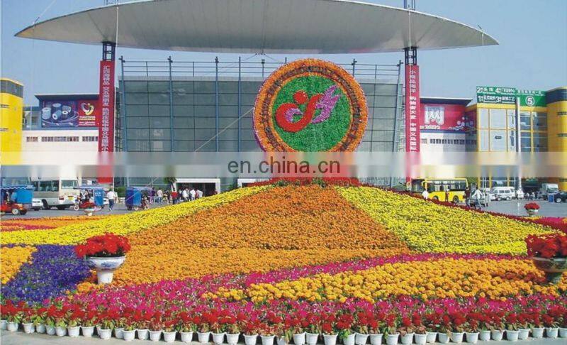 Professional yiwu Switzerland agent commodities