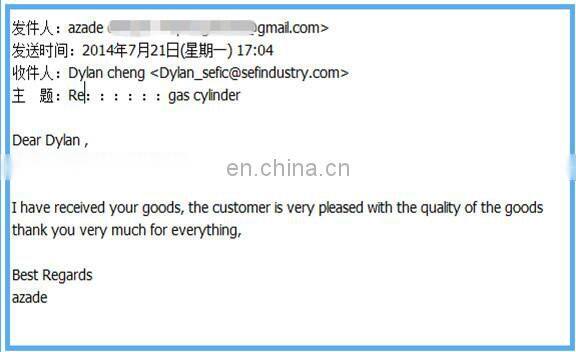 Large Production capacity 1-100L Nitrogen gas Disposable Nitrogen Cylinder Price