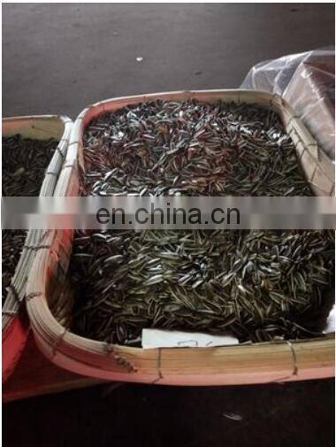 Multifunctional Stainless Steel Peanut Walnut roasting machine