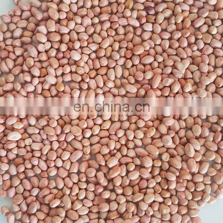 Cheap Price Dried Groundnut Bulk Raw Peanut In Shell