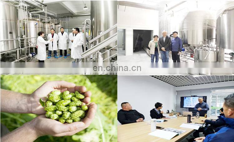 2000L craft beer making machine for beverage can production line