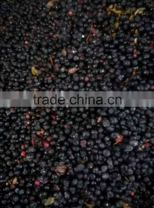 Newest Blueberry color sorter separation machine