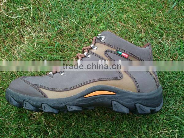 2012 new fashion hiking shoes/Climbing shoes/Trekking shoes
