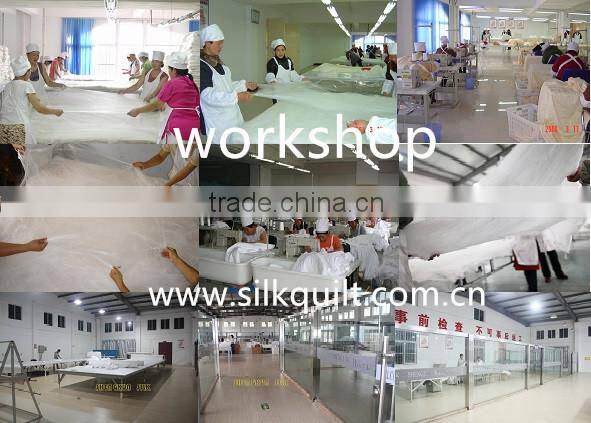 High Quality Quilt 100% silk quilt cover and bed sheet