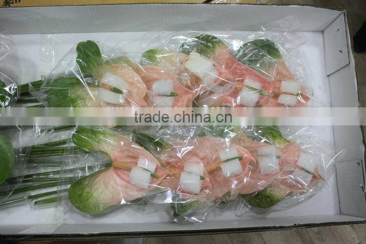 Elegant in smell factory direct fresh antirrhinum bunch