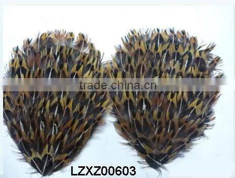 ringneck church window pad LZXZ00584