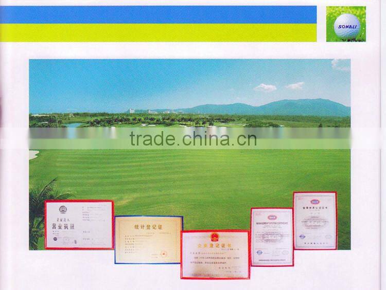 High Quality Oem Golf Ball