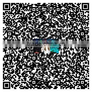 BC-680C Bulb-Shaped CCTV Bulb DVR Camera Security Surveillance with black cover