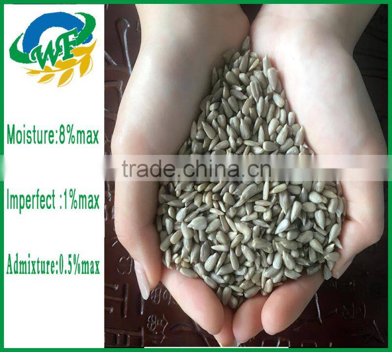 New crop Chinese sunflower seed kernel for export