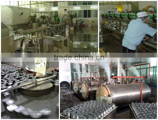 spain 155g canned mackerel fish in tomato sauce(ZNMT0069)