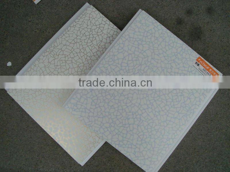 15 experiences stretch ceiling