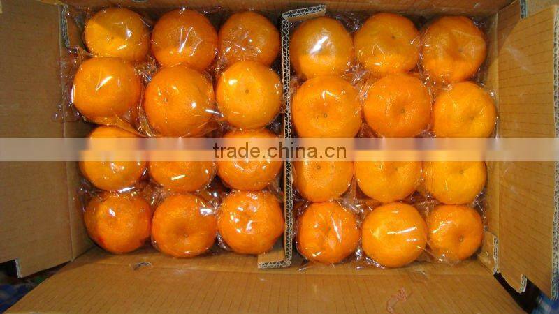 Fresh Mandarin Orange with Factory Wholesales Price