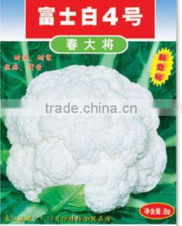 Plateau Over Summering Used High Yield Hybrid White Cauliflower Seed