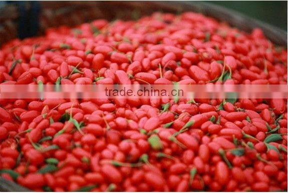 wholesale price of bulk goji berry