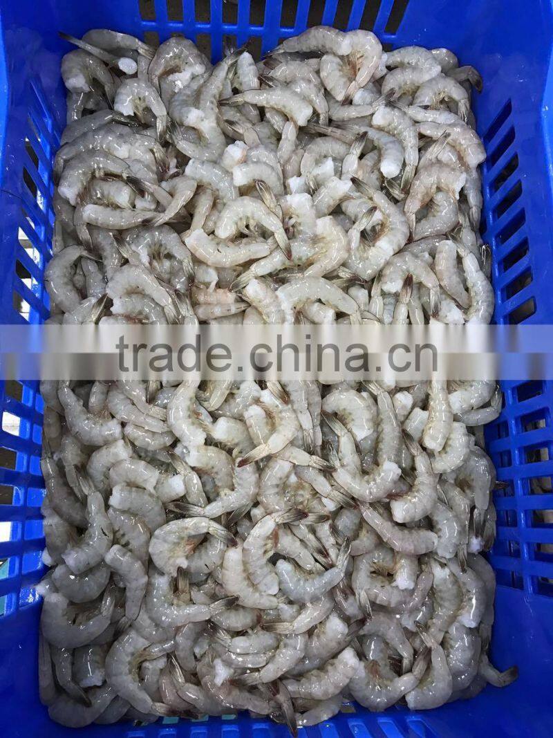 Frozen vannamei white shrimp hlso BQF seafood