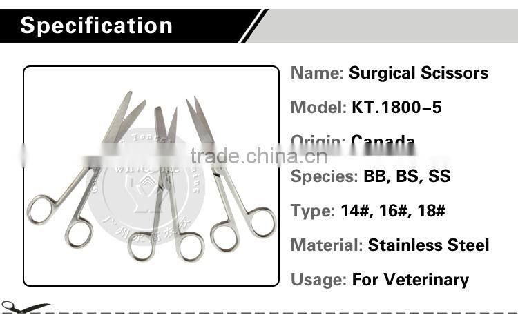 Kinds of stainless steel livestock surgical scissors