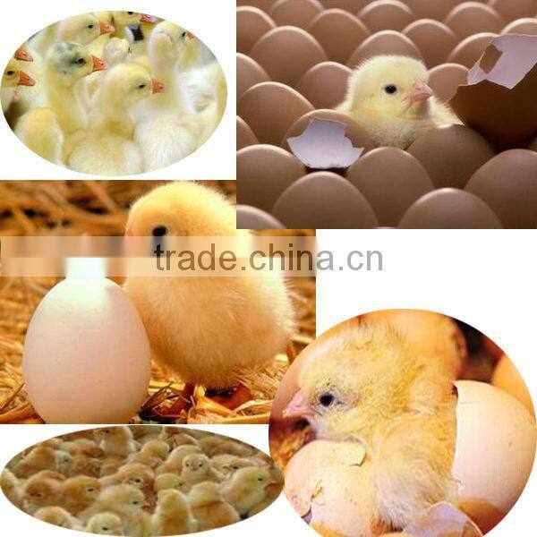 hot selling best price large capacity Professional Egg Incubator and Hatcher