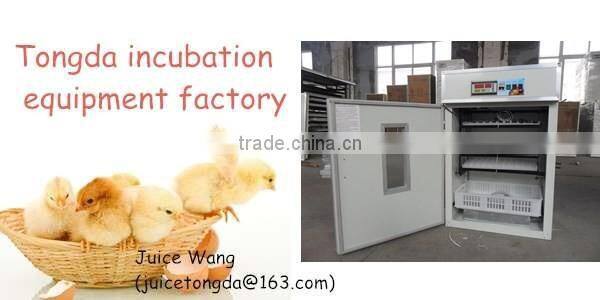 NEWEST original maker full automatic electric TD-352 egg incubator hot sale in China