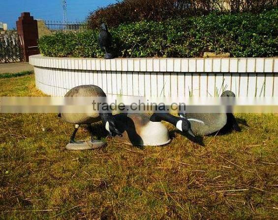colourful goosey,resting watching Decoy goose for hunting,Decoy goose for hunting
