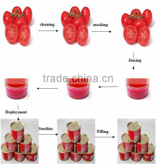 Whole Ketchup production line/system/machines/Equipment
