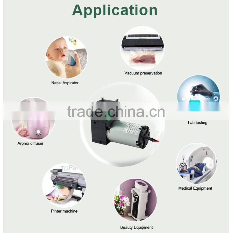 High Performance 6V 12V 24V Gas Pump