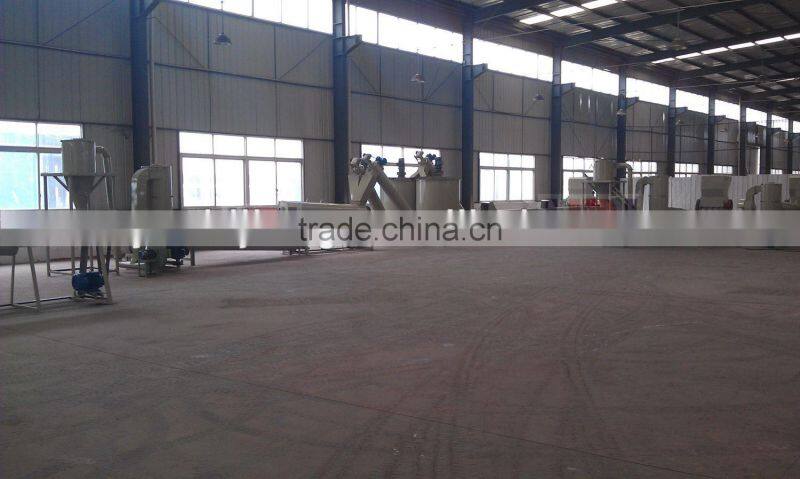 PET flakes crushing & washing line