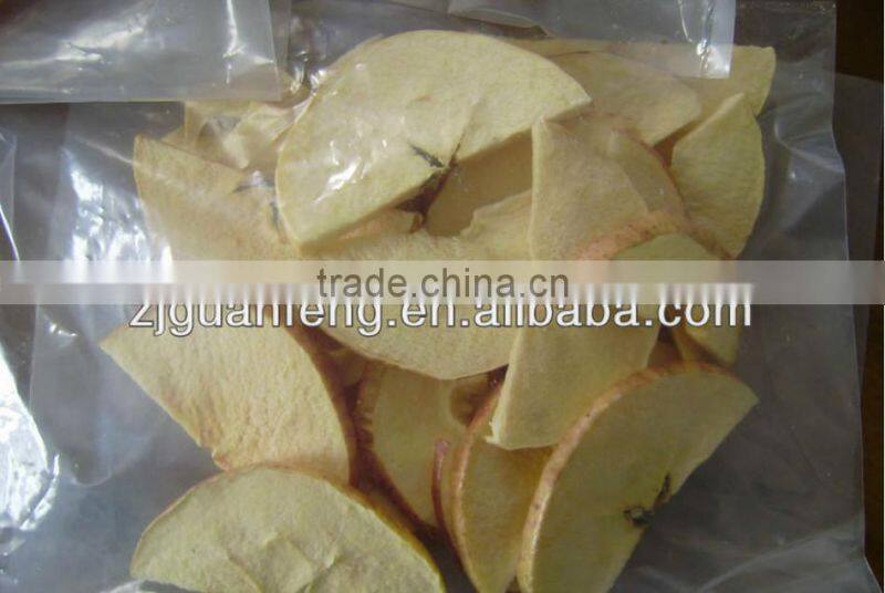 food freeze dryer machine for drying mango