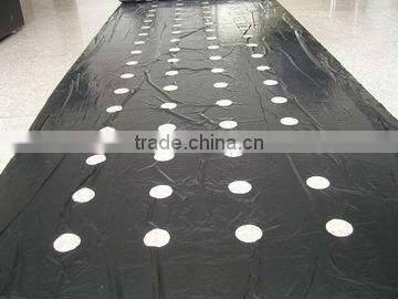 PE Agricultural Mulching Film with holes