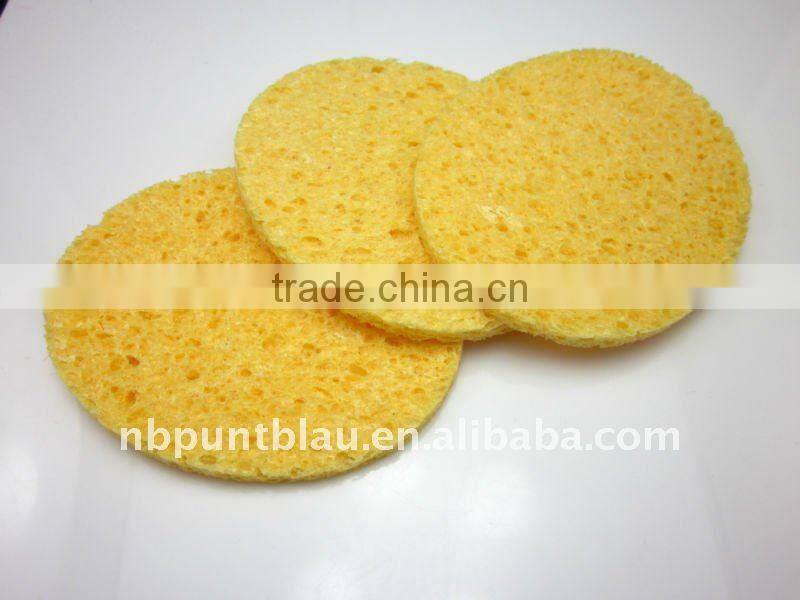 cellulose sponge