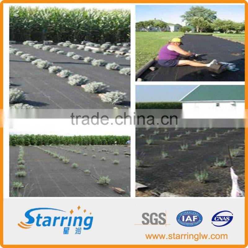 UV PE 100G Weed control fabric