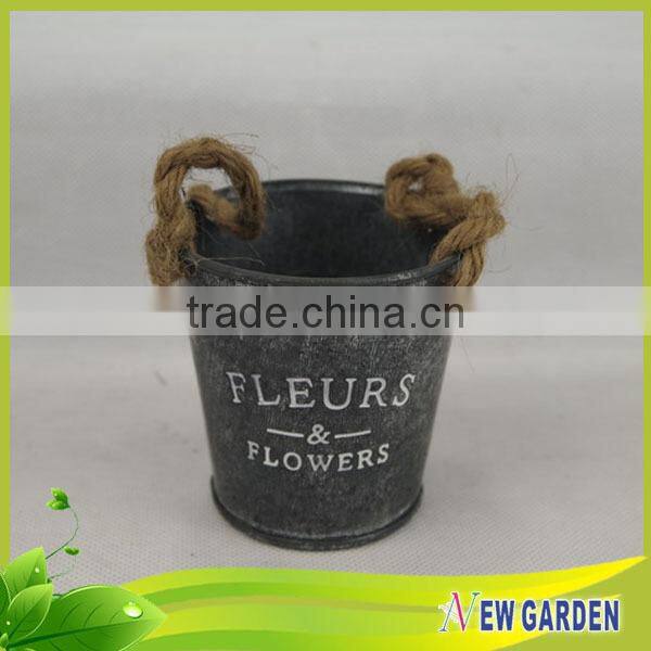 Decorative flower pot / watering can for plant / Different Shapes pot