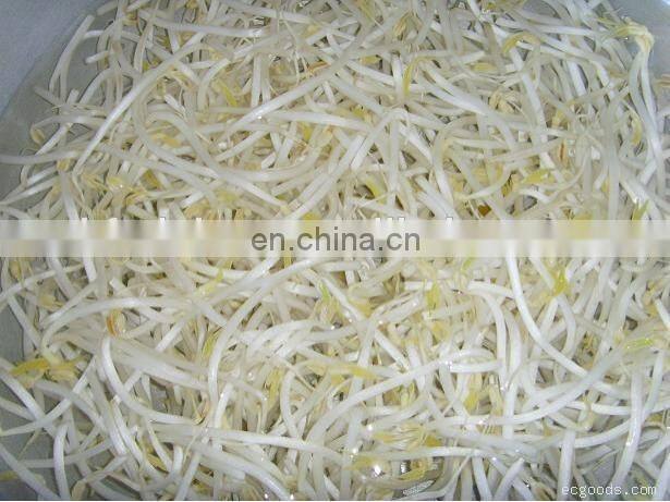 Factory Directly Supply Lowest Price Soya bean sprout making machine Garlic sprout maker machine Mung bean grower