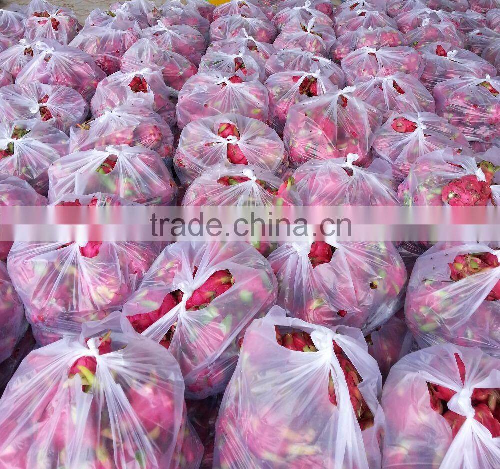 Dried Dragon Fruit from Vietnam/ Organic Dragon Fruit