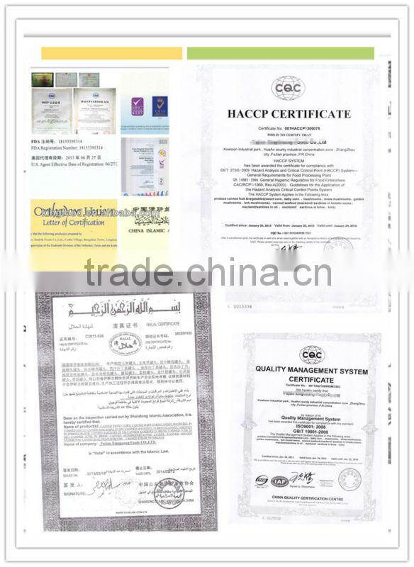 Best Canned Tomato Sauce Price