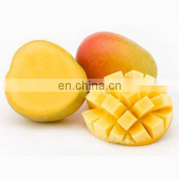 high efficiency stainless steel mango juice making machine