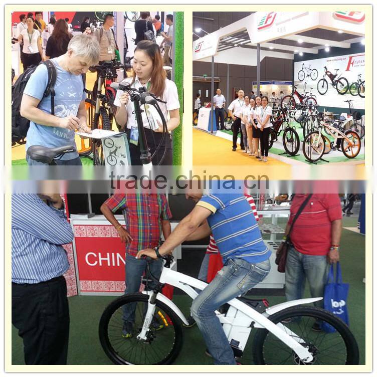 2015 simple shape 20inch folding electric bike battery rack with EN15194