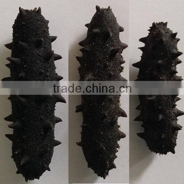2016Wholesale dry sea cucumber
