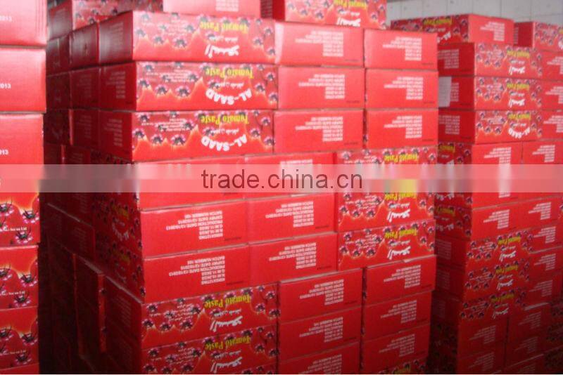 Carton 800gx12tins per carton,canned tomato paste,BIRX 28-30%