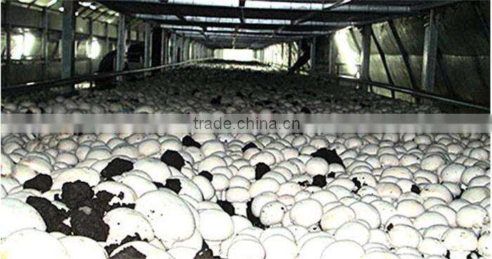 agaricus bisporus/double -spore extract/30%~50% polysaccharide by uv