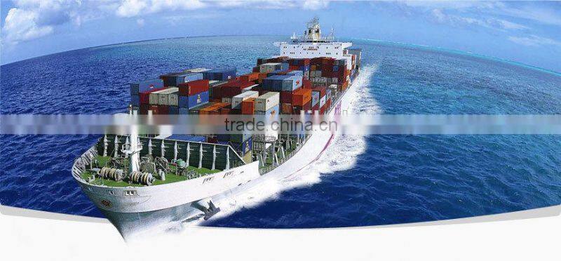 ballet leotards for girls dance leotard BL024