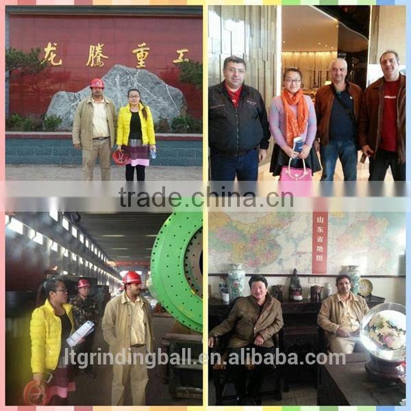Long Teng hammer crusher