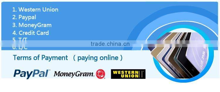 YSJ-W-SM11 spy WIieless surveillance hidden Support TF card camera with video night vision