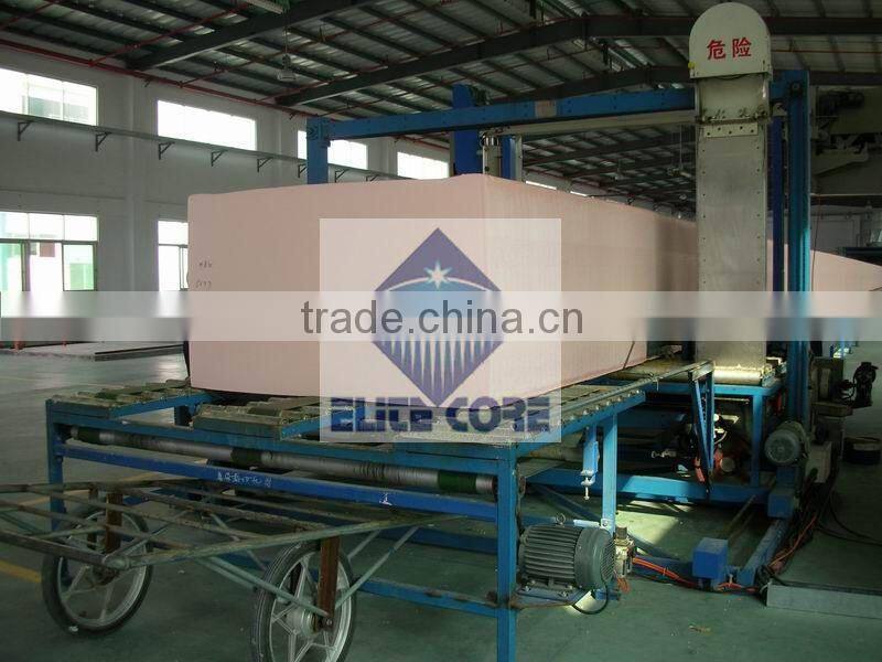 2015 ECMT-116b automatic foam block cutter (cross type )