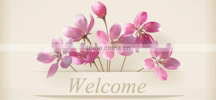 Folding Chair Furniture In White JC-H101