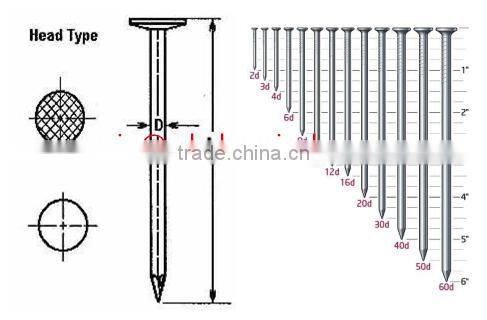4"common iron nails /nails making machine produce