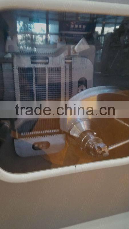 Stainless Steel Meat Dicing Machine/Automatic Meat Dicing Machine