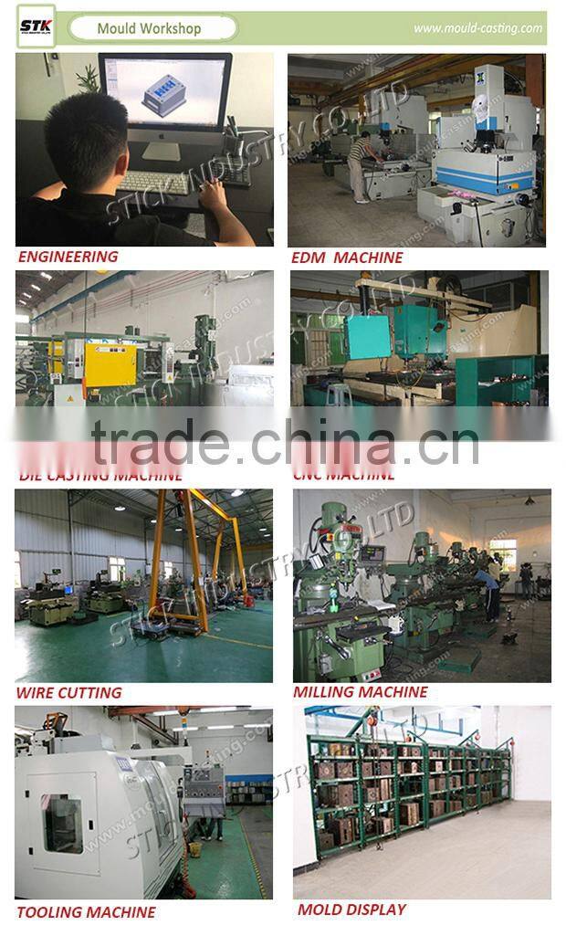 High Progressive Metal Stamping Punching Mold/Die