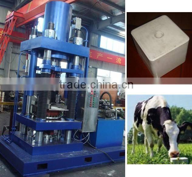 animal feed salt block press
