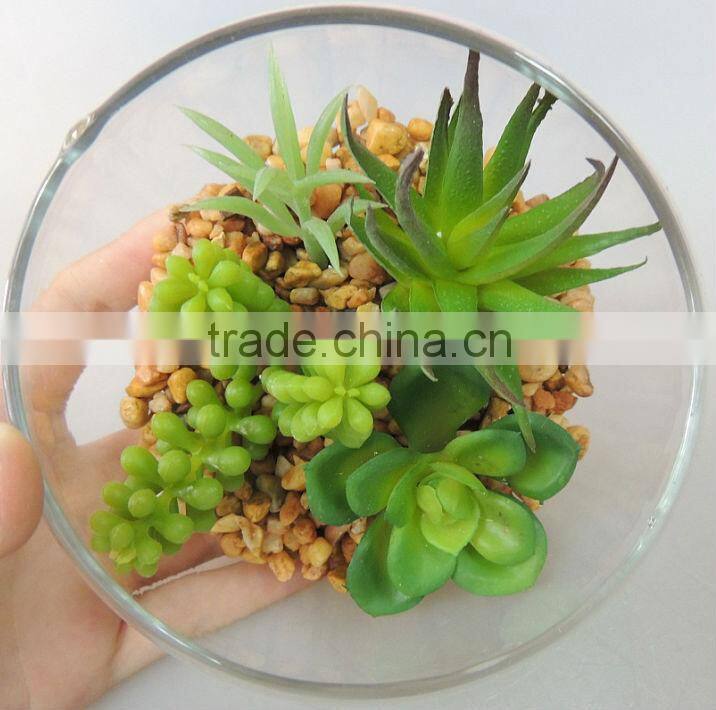 Artificial small Cactus for garden decorating