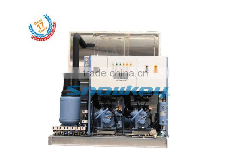 Newest design Plate ice maker 10000kgs per day Commercial plate ice making machinewith high quality
